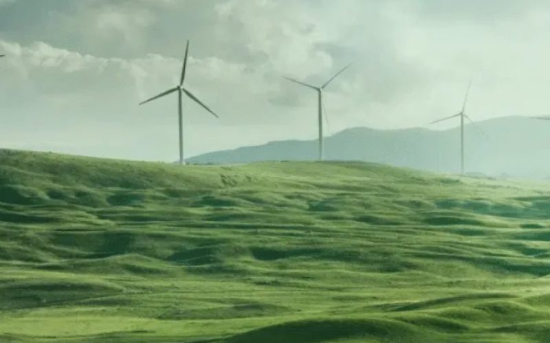 HR Challenges and Solutions in the Renewable Energy Sector